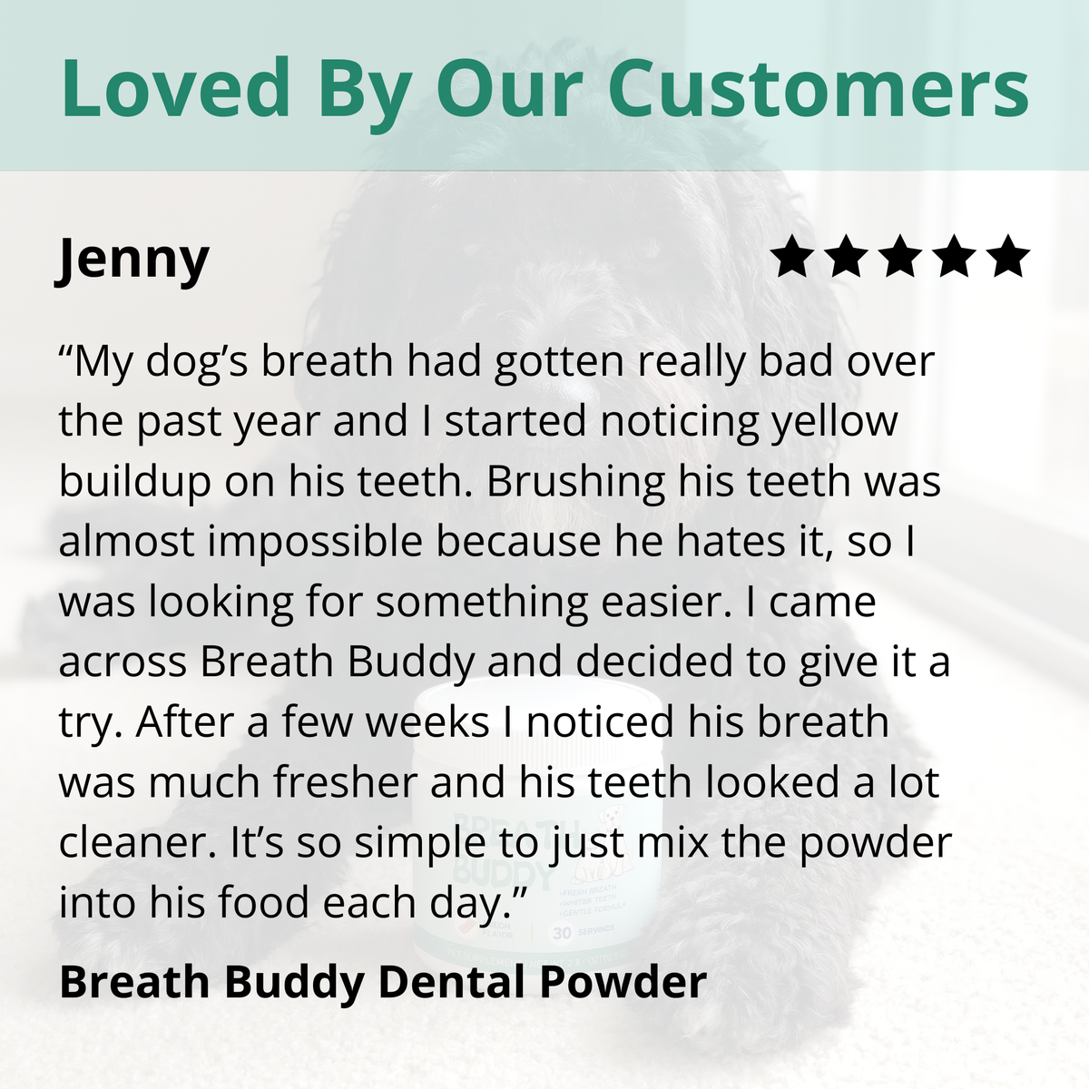 Breath Buddy Dental Powder