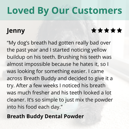 Breath Buddy Dental Powder