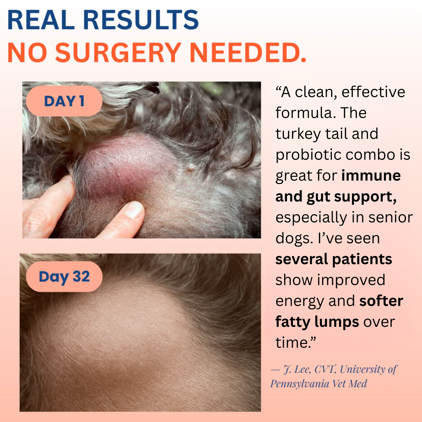 Turkey Tail+ Immune Boost Probiotic