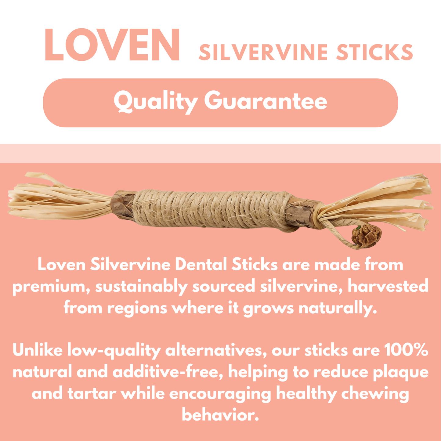 Silvervine Natural Cat Dental Stick