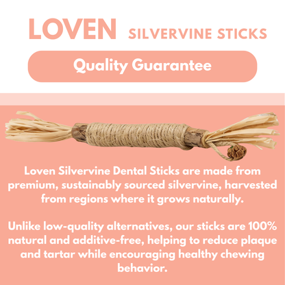 Silvervine Natural Cat Dental Stick