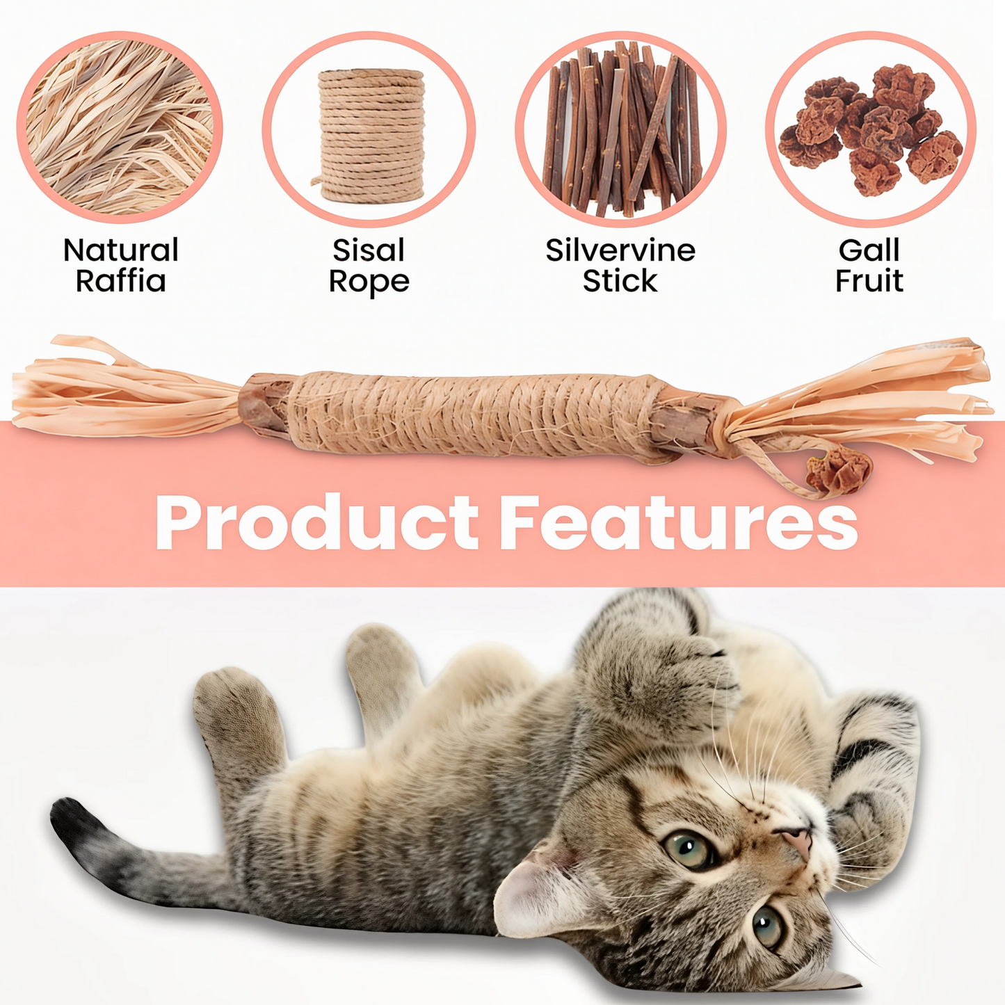 Silvervine Natural Cat Dental Stick