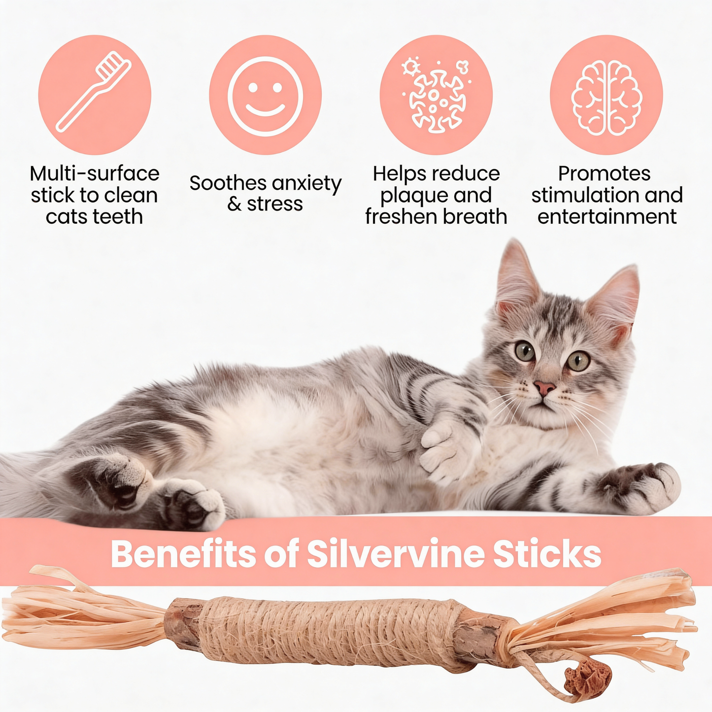 Silvervine Natural Cat Dental Stick