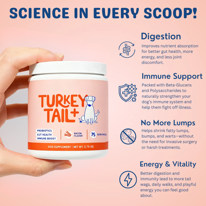 Turkey Tail+ Immune Boost Probiotic
