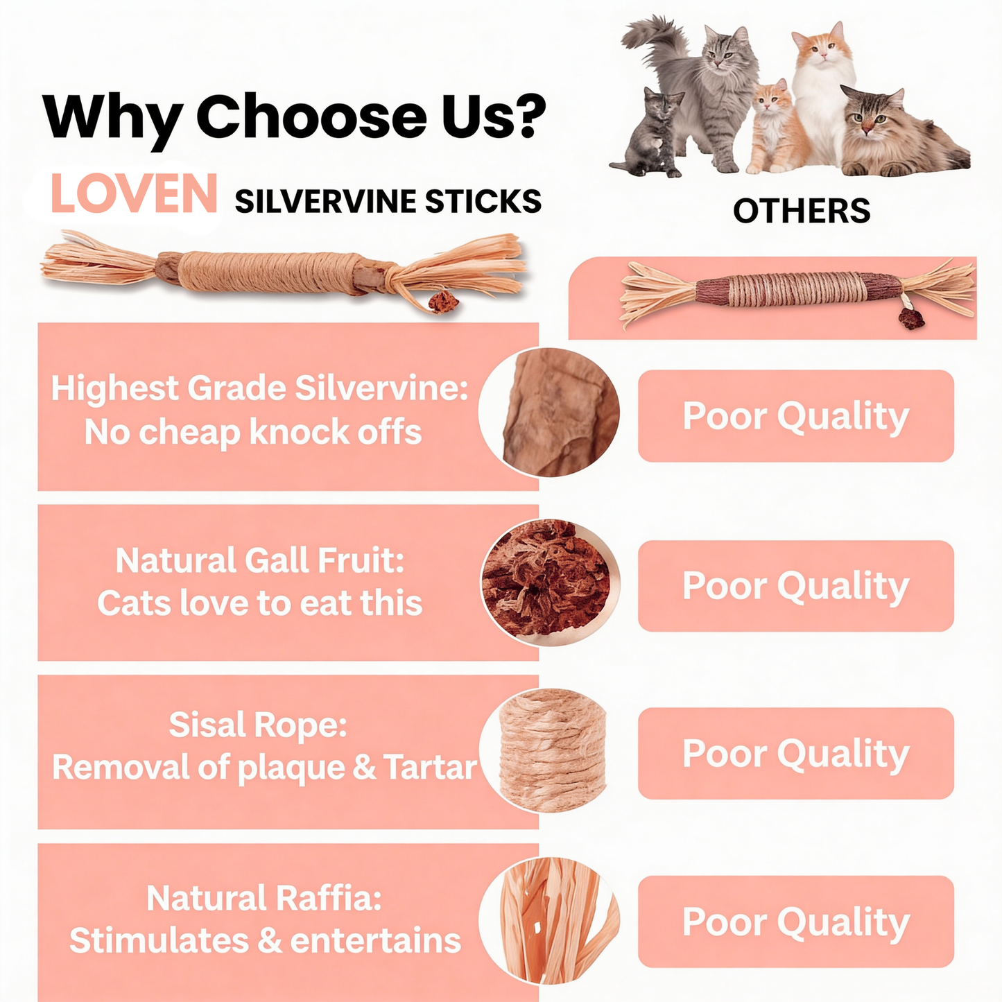 Silvervine Natural Cat Dental Stick