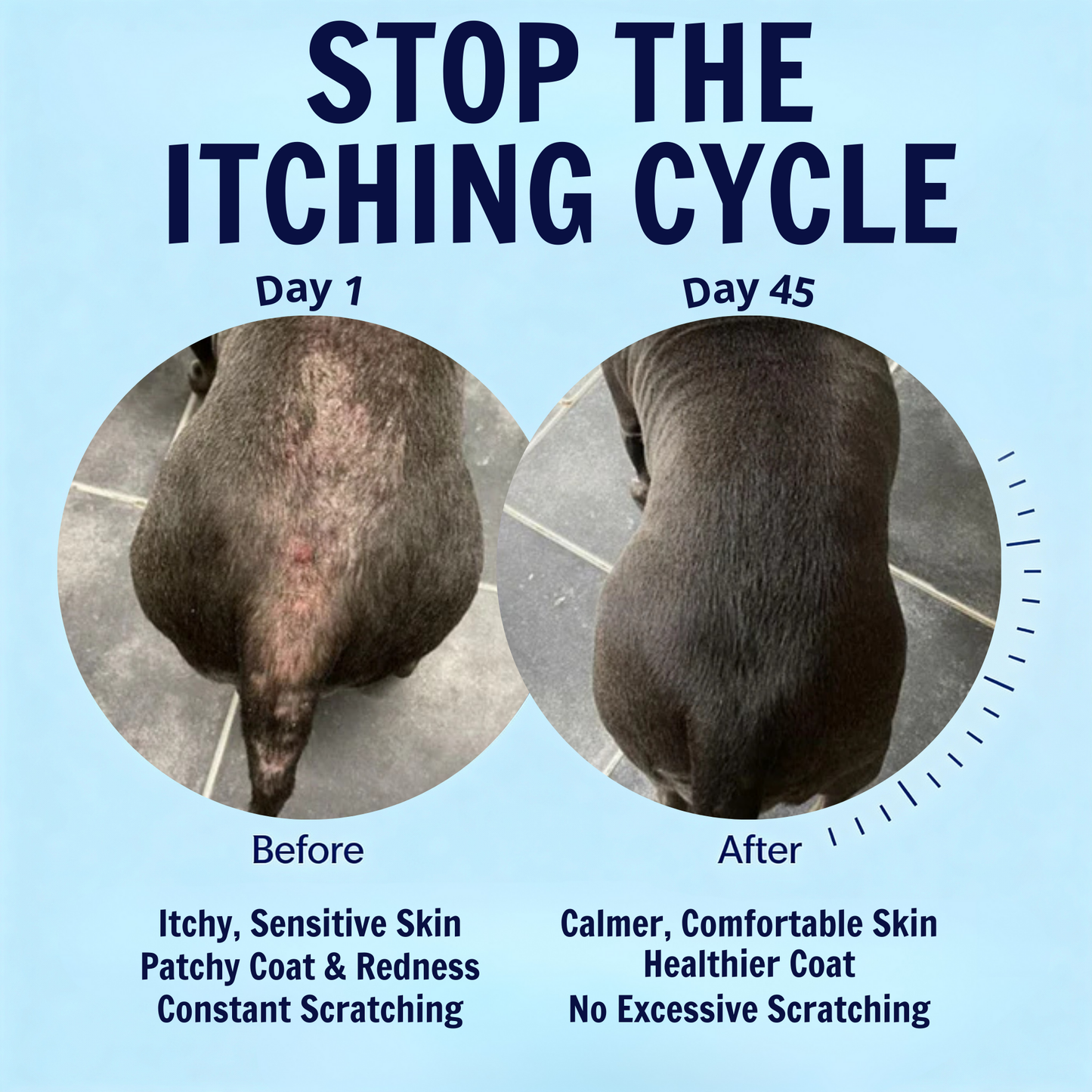 Daily8 Itch and Allergy Relief Treats