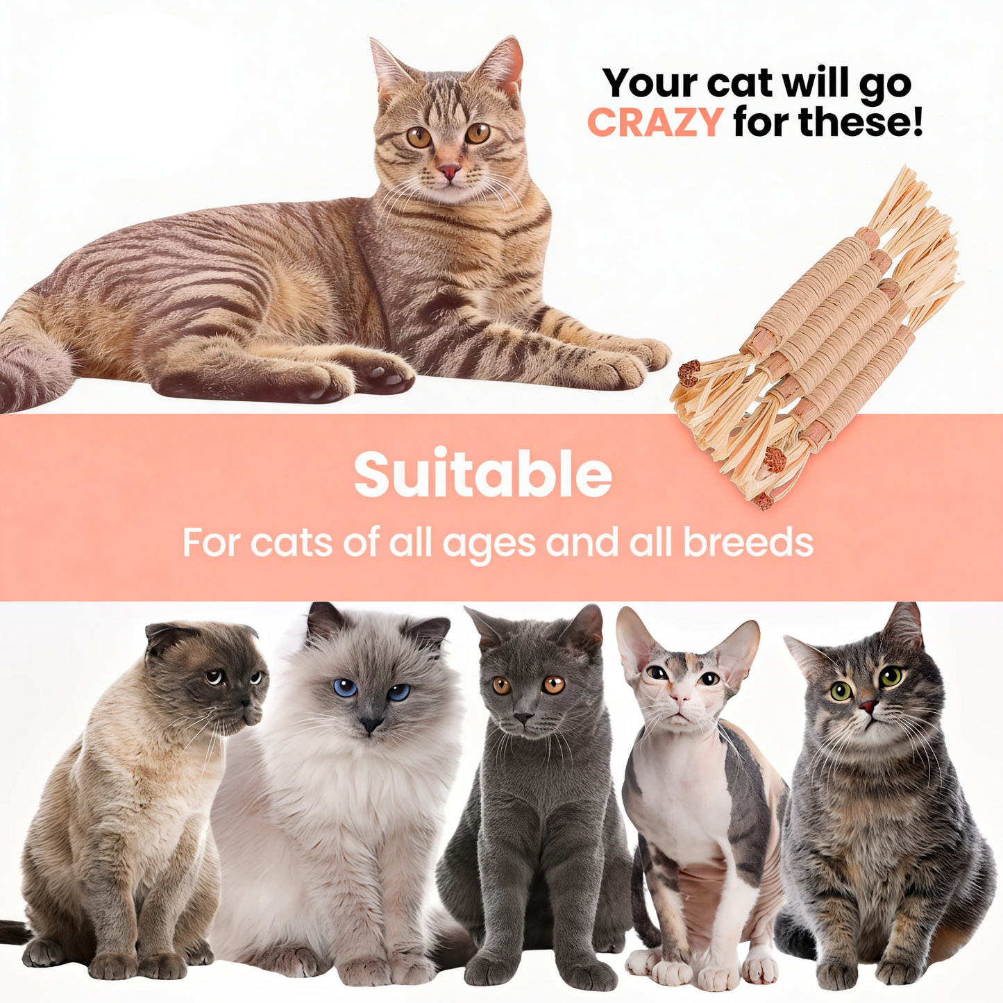 Silvervine Natural Cat Dental Stick