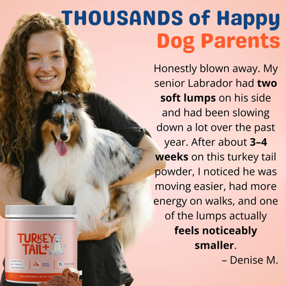 Turkey Tail+ Immune Boost Probiotic