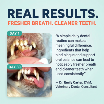 Breath Buddy Dental Powder