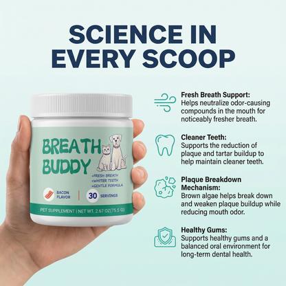 Breath Buddy Dental Powder