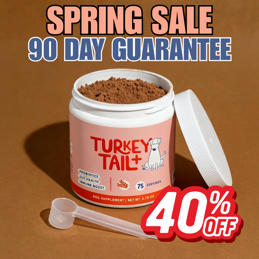 Turkey Tail+ Immune Boost Probiotic