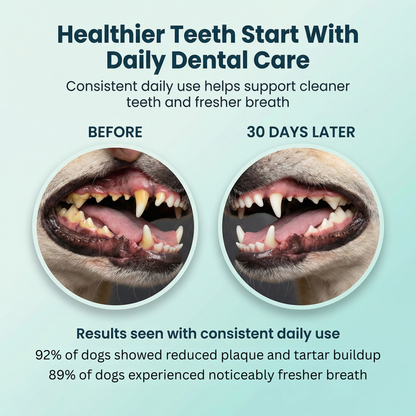 Breath Buddy Dental Powder