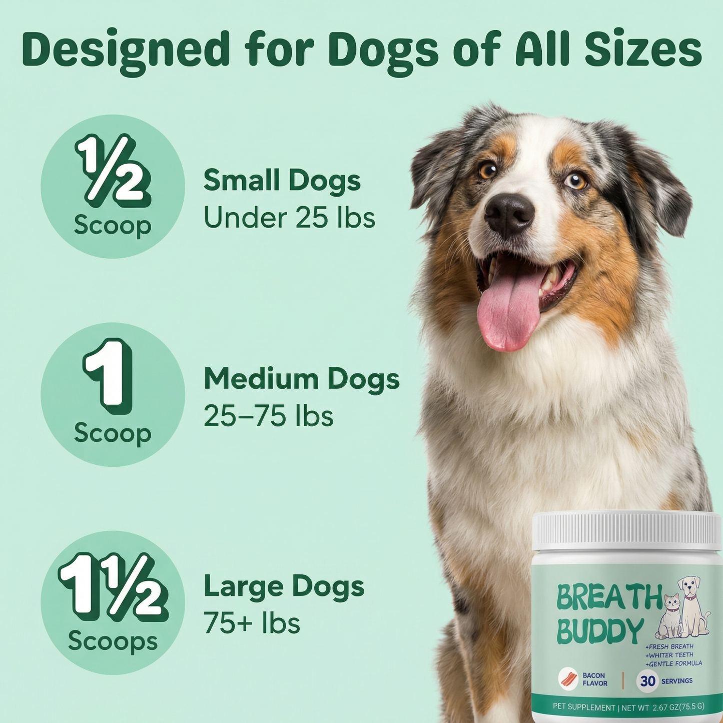 Breath Buddy Dental Powder