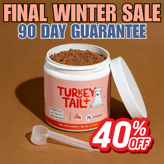 Turkey Tail+ Immune Boost Probiotic